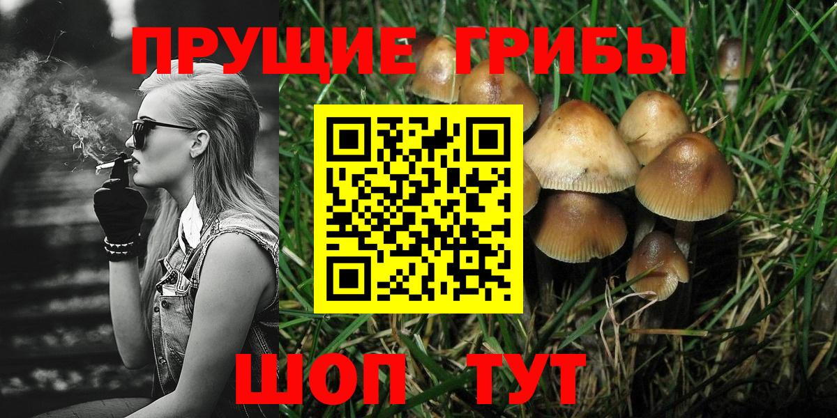 Галлюциногенные грибы Psilocybine cubensis Трёхгорный