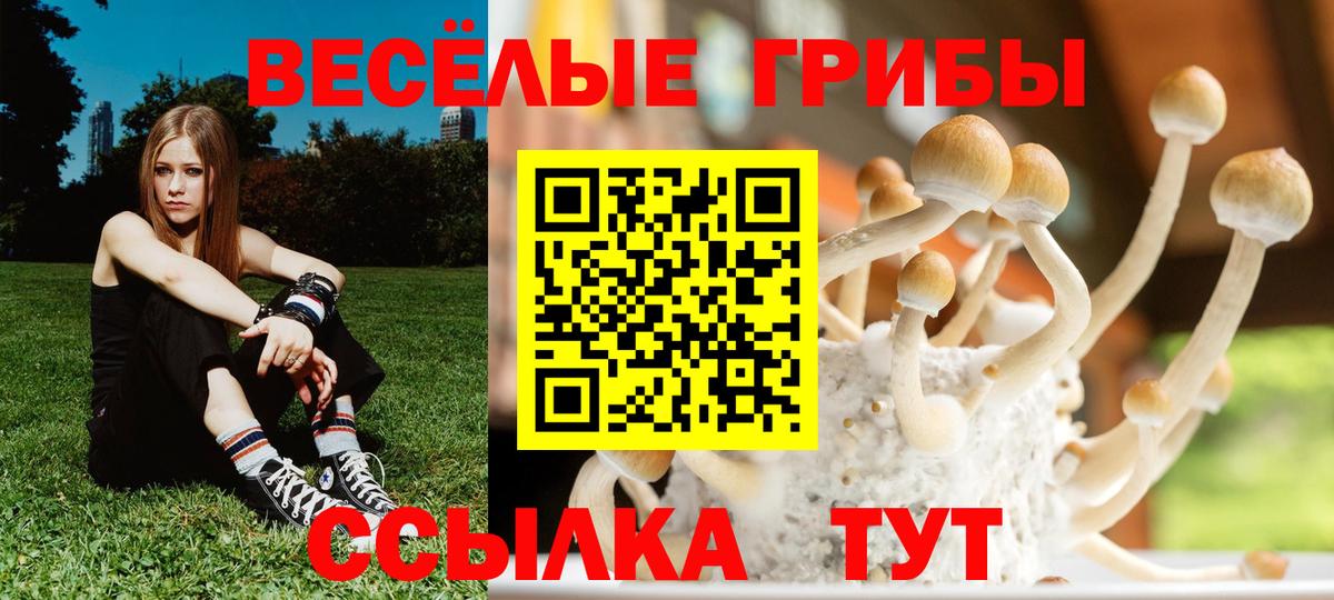 Псилоцибиновые грибы ЛСД  Вход с VPN  Галлюциногенные грибы Psilocybe  Трёхгорный 